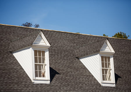 Roof Cleaning Services in Columbia, SC: What to Know This Winter