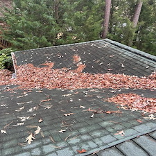 Complete-exterior-cleaning-of-this-lakefront-home-in-Stephenson-Lakes-Neighborhood-in-Chapin 18